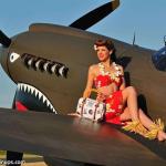 Warbird Pinup P-40 Tomahawk