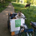 Cycle to work dog