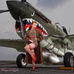 warbird Pinup P-40 Tomahawk