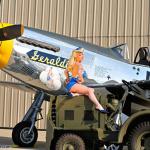 Warbird Pinup P-51D Mustange