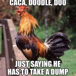 Rooster | CACA, DOODLE, DOO; JUST SAYING HE HAS TO TAKE A DUMP | image tagged in rooster | made w/ Imgflip meme maker