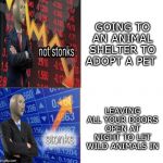 Stonks not stonks | GOING TO AN ANIMAL SHELTER TO ADOPT A PET; LEAVING ALL YOUR DOORS OPEN AT NIGHT TO LET WILD ANIMALS IN | image tagged in stonks not stonks | made w/ Imgflip meme maker