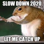 Hold up squirrel | SLOW DOWN 2020; LET ME CATCH UP | image tagged in hold up squirrel | made w/ Imgflip meme maker