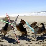 Dogs fight | DARTH MAUL; OBI-WAN KENOBI; QUI GON JIN | image tagged in dogs fight | made w/ Imgflip meme maker