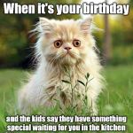 Doomed Face | When it's your birthday; and the kids say they have something special waiting for you in the kitchen | image tagged in doomed face cat,worried,inevitable destruction of your kitchen,humor | made w/ Imgflip meme maker