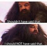 Hagrid shouldn't have said that