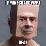 square head | IF MINECRAFT WERE; REAL | image tagged in square head | made w/ Imgflip meme maker