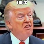 trump thicc | THICC | image tagged in trump thicc | made w/ Imgflip meme maker