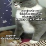 Big Cat Bullying Little Cat | people who can finish the password when making a mistake without restarting; people with photographic memory | image tagged in big cat bullying little cat | made w/ Imgflip meme maker