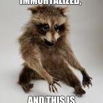 Outraged Raccoon | I ASK TO BE IMMORTALIZED, AND THIS IS WHAT I GET??? | image tagged in raccoon,taxidermied raccoon,bad taxidermy,crazy raccoon | made w/ Imgflip meme maker
