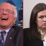 Which Sanders
