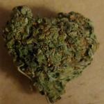 I <3 you 420