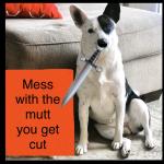 Mess with the mutt you get cut