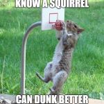 Squirrel basketball | WHEN YOU KNOW A SQUIRREL; CAN DUNK BETTER THAN YOU CAN | image tagged in squirrel basketball | made w/ Imgflip meme maker