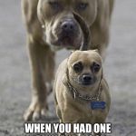 You know it’s happened to you | WHEN YOU HAD ONE DRINK AND A COP FOLLOWS YOU ACROSS TOWN | image tagged in big dog little dog,cop | made w/ Imgflip meme maker