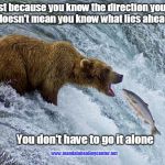Bear catching salmon | Just because you know the direction you're going, doesn't mean you know what lies ahead of you; You don't have to go it alone; www.mandalahealingcenter.net | image tagged in bear catching salmon | made w/ Imgflip meme maker