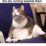 The dinosaurs | The dinosaurs looking at the weird ball in the sky coming towards them | image tagged in squinting cat | made w/ Imgflip meme maker