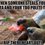 jealous tortoise | WHEN SOMEONE STEALS YOUR PIZZA AND YOUR TOO POLITE TO.... RIP THERE HEART OUT! | image tagged in jealous tortoise | made w/ Imgflip meme maker