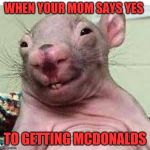 When you get what you want | WHEN YOUR MOM SAYS YES; TO GETTING MCDONALDS | image tagged in when you get what you want | made w/ Imgflip meme maker