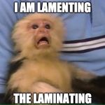 Screaming Monkey | I AM LAMENTING; THE LAMINATING | image tagged in screaming monkey | made w/ Imgflip meme maker