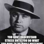 Misunderstood gangster | YOU DONT UNDERSTAND STRESS UNTIL YOU DO WHAT YOU HAVE TO DO WHILE WATCHING THE WORLD BURN AROUND YOU | image tagged in misunderstood gangster | made w/ Imgflip meme maker
