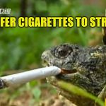 Cigarettes vs Plastic | I PREFER CIGARETTES TO STRAWS | image tagged in smoking turtle,plastic straws,turtle meme,cigarettes,garbage,recycling | made w/ Imgflip meme maker