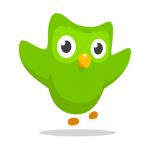 2014 Duolingo Owl