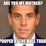 Hunter pooped | ARE YOU MY MOTHER? I POOPED AT THE MALL TODAY! | image tagged in hunter biden,futurama zoidberg,miss piggy,evil kermit,baby yoda | made w/ Imgflip meme maker