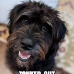 Cute Black Dog | ZOOMIES  ALL  DAY? ZONKED  OUT  BEFORE  DINNER | image tagged in cute black dog | made w/ Imgflip meme maker