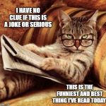 cat-newspaper | I HAVE NO CLUE IF THIS IS A JOKE OR SERIOUS; THIS IS THE FUNNIEST AND BEST THING I'VE READ TODAY | image tagged in cat-newspaper | made w/ Imgflip meme maker