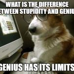 stupidity vs genius | WHAT IS THE DIFFERENCE BETWEEN STUPIDITY AND GENIUS GENIUS HAS ITS LIMITS. | image tagged in smart dog,stupidity,genius | made w/ Imgflip meme maker
