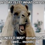 Geico camel hump day | WHAT DAY IS IT? WHAT DAY IS IT? It's 'UNITED WAY' donation day! 
(well... month) | image tagged in geico camel hump day | made w/ Imgflip meme maker