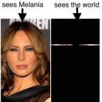 Melania's vision