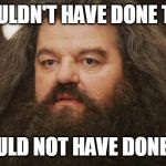 Hagrid | SHOULDN'T HAVE DONE THAT; I SHOULD NOT HAVE DONE THAT | image tagged in hagrid | made w/ Imgflip meme maker