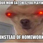 Funny dog | WHEN YOUR MOM CATCHES YOU PLAYING GAMES; INSTEAD OF HOMEWORK | image tagged in funny dog | made w/ Imgflip meme maker