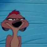 Timon is such a mood