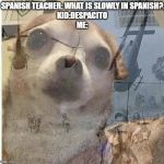 flashback doggy | SPANISH TEACHER: WHAT IS SLOWLY IN SPANISH?
KID:DESPACITO
ME: | image tagged in flashback doggy | made w/ Imgflip meme maker