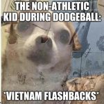 flashback doggy | THE NON-ATHLETIC KID DURING DODGEBALL:; *VIETNAM FLASHBACKS* | image tagged in flashback doggy | made w/ Imgflip meme maker