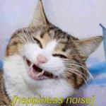 Happiness Noise Cat meme