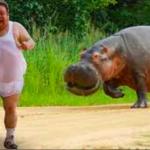 Man runs from hippo