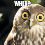 owl thing | WHEN? | image tagged in owl thing | made w/ Imgflip meme maker