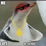 Penguin flexing | FIGHT ME; YEAH I LIFT; MY FEATHERS | image tagged in penguin flexing | made w/ Imgflip meme maker