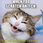 Happiness Noise Cat | WHEN YOU SCRATCH AN ITCH: | image tagged in happiness noise cat | made w/ Imgflip meme maker