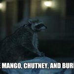 Geico Raccoon | "IT'S LIKE MANGO, CHUTNEY, AND BURNT HAIR!" | image tagged in geico raccoon | made w/ Imgflip meme maker