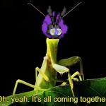 Cutbug It's All Coming Together meme