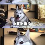 Bad Pun Husky | WHAT DID THE GRAPE SAY WHEN IT WAS CRUSHED? NOTHING; IT JUST LET OUT A LITTLE WINE | image tagged in bad pun husky | made w/ Imgflip meme maker