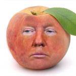 Donald Trump in Peach