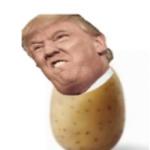 Potato trump