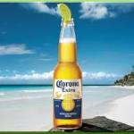 corona virus