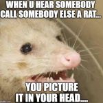 When a rat show's up... | WHEN U HEAR SOMEBODY CALL SOMEBODY ELSE A RAT... YOU PICTURE IT IN YOUR HEAD.... | image tagged in when a rat show's up | made w/ Imgflip meme maker